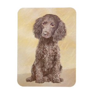 Magnet Flexible American Water Spaniel Peinture - Original Dog Art