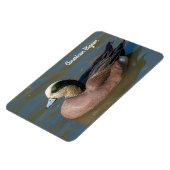Magnet Flexible American Wigeon (Côté Gauche)