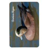 Magnet Flexible American Wigeon (Vertical)