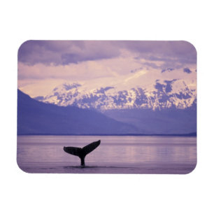 Magnet Flexible Amérique du Nord, États-Unis, Alaska, Passage Inté