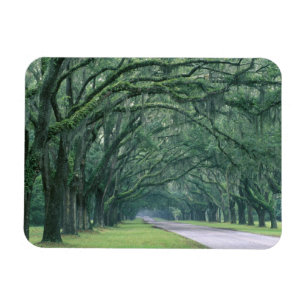 Magnet Flexible Amérique du Nord, États-Unis, Géorgie, Savannah,