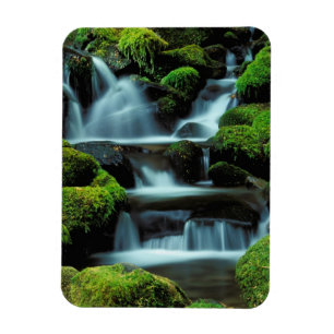 Magnet Flexible Amérique du Nord; États-Unis; Washington, Cascade