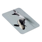 Magnet Flexible Amérique du Nord, États-Unis, Washington, San Juan (Côté Droit)