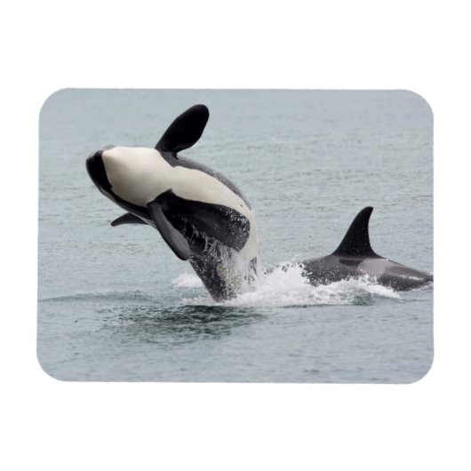 Magnet Flexible Amérique du Nord, États-Unis, Washington, San Juan (Horizontal)