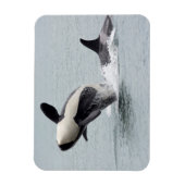 Magnet Flexible Amérique du Nord, États-Unis, Washington, San Juan (Vertical)