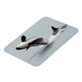 Magnet Flexible Amérique du Nord, États-Unis, Washington, San Juan (Côté Gauche)