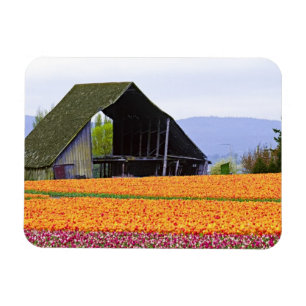 Magnet Flexible Amérique du Nord, États-Unis, Washington, vallée d