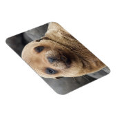 Magnet Flexible Amérique du Sud, Équateur, îles Galapagos (Côté Droit)