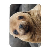 Magnet Flexible Amérique du Sud, Équateur, îles Galapagos (Vertical)