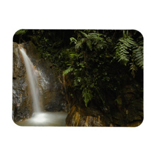 Magnet Flexible Amérique du Sud, Équateur, versant oriental de la