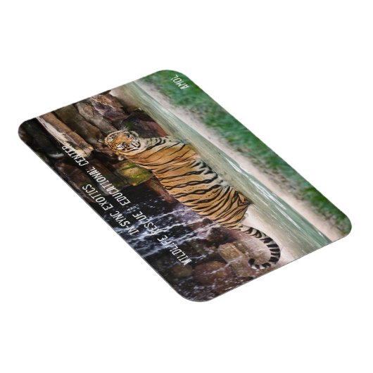 Magnet Flexible Amol - (Côté Droit)