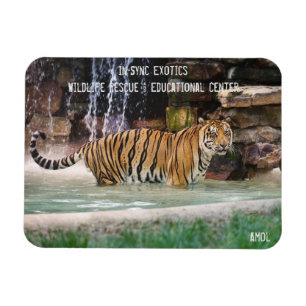 Magnet Flexible Amol -