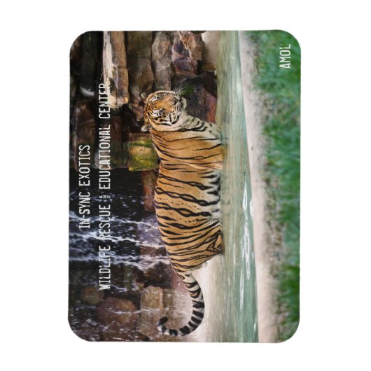 Magnet Flexible Amol - (Vertical)