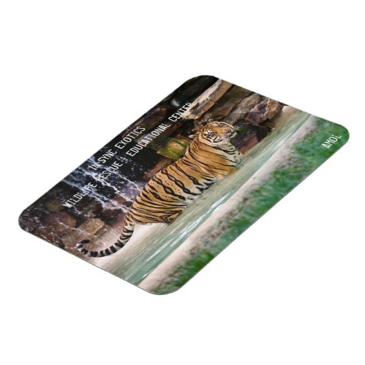 Magnet Flexible Amol - (Côté Gauche)