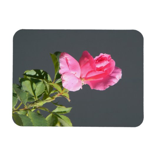 Magnet Flexible Amour d'été... (Horizontal)