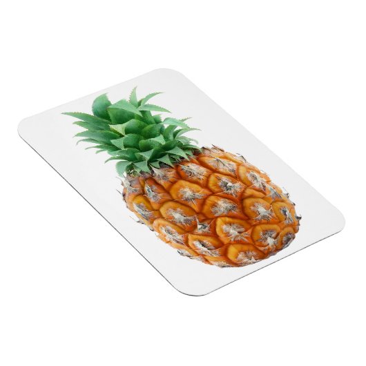 Magnet Flexible Ananas (Côté Droit)
