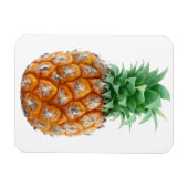 Magnet Flexible Ananas (Horizontal)
