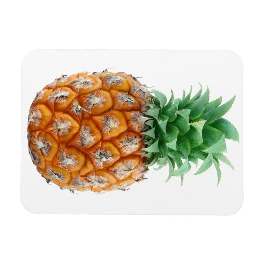 Magnet Flexible Ananas (Horizontal)