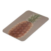 Magnet Flexible Ananas 2012 (Côté Gauche)