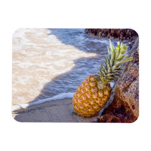 Magnet Flexible Ananas sur les rochers à la plage