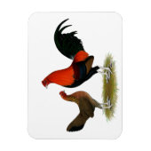 Magnet Flexible Ancien jeu anglais Bantams : BB Red Pair (Vertical)