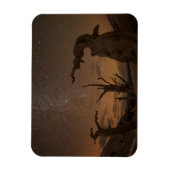 Magnet Flexible Ancient Bristlecone Pine Forest | California (Vertical)