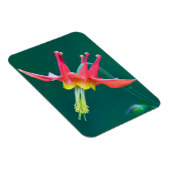 Magnet Flexible Ancolie rouge (Côté Droit)