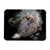 Magnet Flexible Andean Condor Homme (Horizontal)