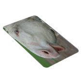 Magnet Flexible Âne baroque blanc (Côté Droit)