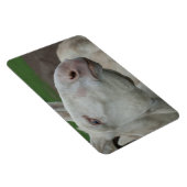 Magnet Flexible Âne baroque blanc (Côté Droit)