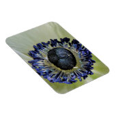 Magnet Flexible Anemone Mistral Panda (Côté Droit)