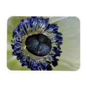 Magnet Flexible Anemone Mistral Panda (Horizontal)