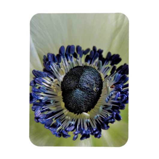 Magnet Flexible Anemone Mistral Panda (Vertical)