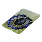 Magnet Flexible Anemone Mistral Panda (Côté Gauche)
