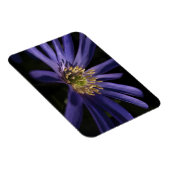 Magnet Flexible Anémone pourpre (Côté Droit)