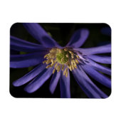 Magnet Flexible Anémone pourpre (Horizontal)