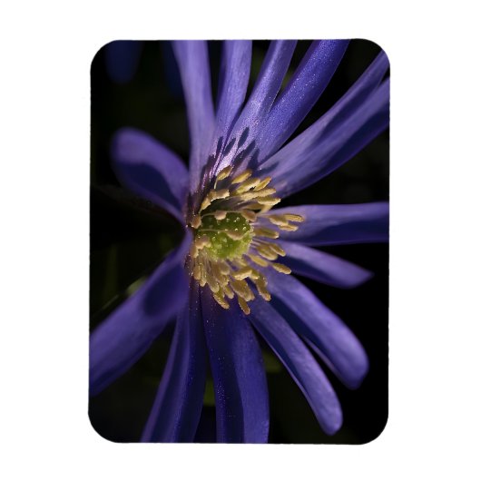 Magnet Flexible Anémone pourpre (Vertical)
