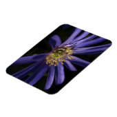 Magnet Flexible Anémone pourpre (Côté Gauche)