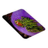 Magnet Flexible Anémonèse et grand anémone (Côté Droit)