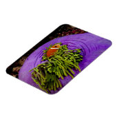 Magnet Flexible Anémonèse et grand anémone (Côté Gauche)