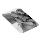 Magnet Flexible Angel du désert (Côté Droit)