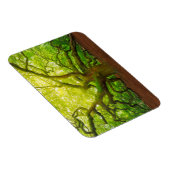 Magnet Flexible Angel Oak (Côté Droit)