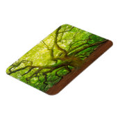 Magnet Flexible Angel Oak (Côté Gauche)