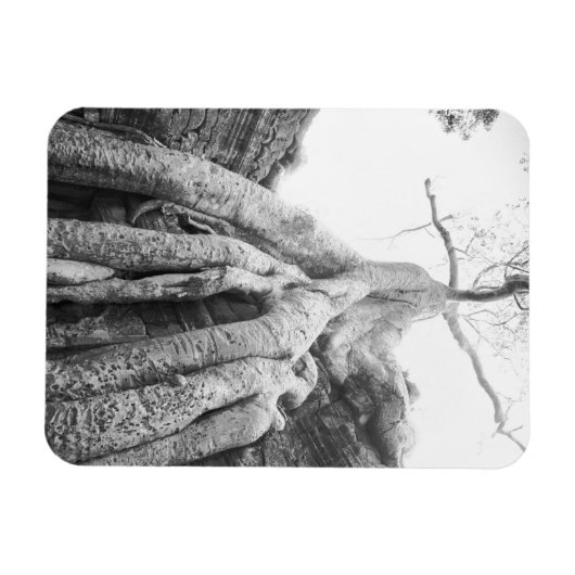 Magnet Flexible Angkor Cambodia, Tree Ta Prohm (Horizontal)