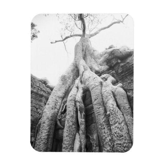 Magnet Flexible Angkor Cambodia, Tree Ta Prohm (Vertical)