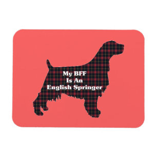 Magnet Flexible Anglais Springer SPANIEL BFF