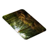 Magnet Flexible Angleterre, Angleterre. Rayons de lumière du solei (Côté Droit)