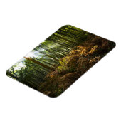 Magnet Flexible Angleterre, Angleterre. Rayons de lumière du solei (Côté Gauche)