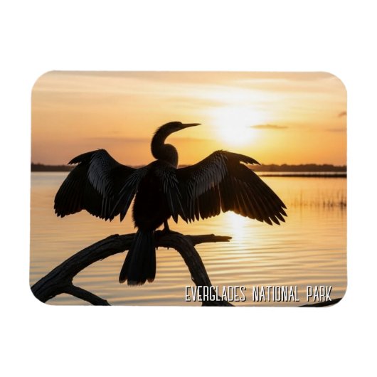 Magnet Flexible Anhinga Parc national des Everglades (Horizontal)