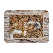Magnet Flexible animal de compagnie photo collage moderne (Horizontal)
